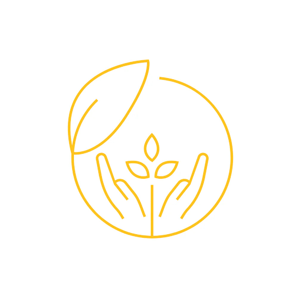 <p><strong>Plant-Based Oils</strong></p>